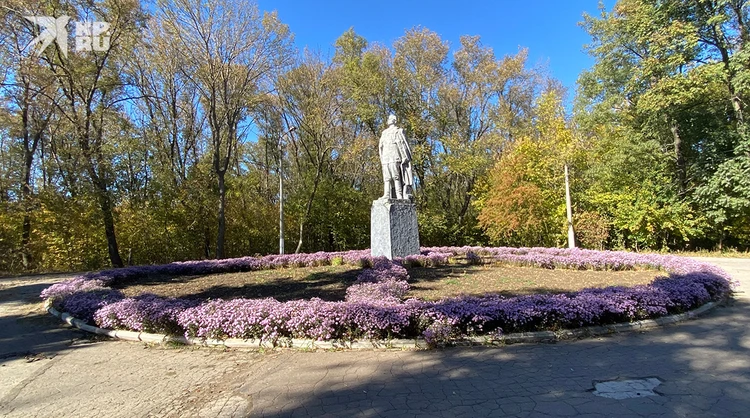 Городской парк имени Горького. Бывшая гордость Горловки нынче превратилась в натуральный лес.