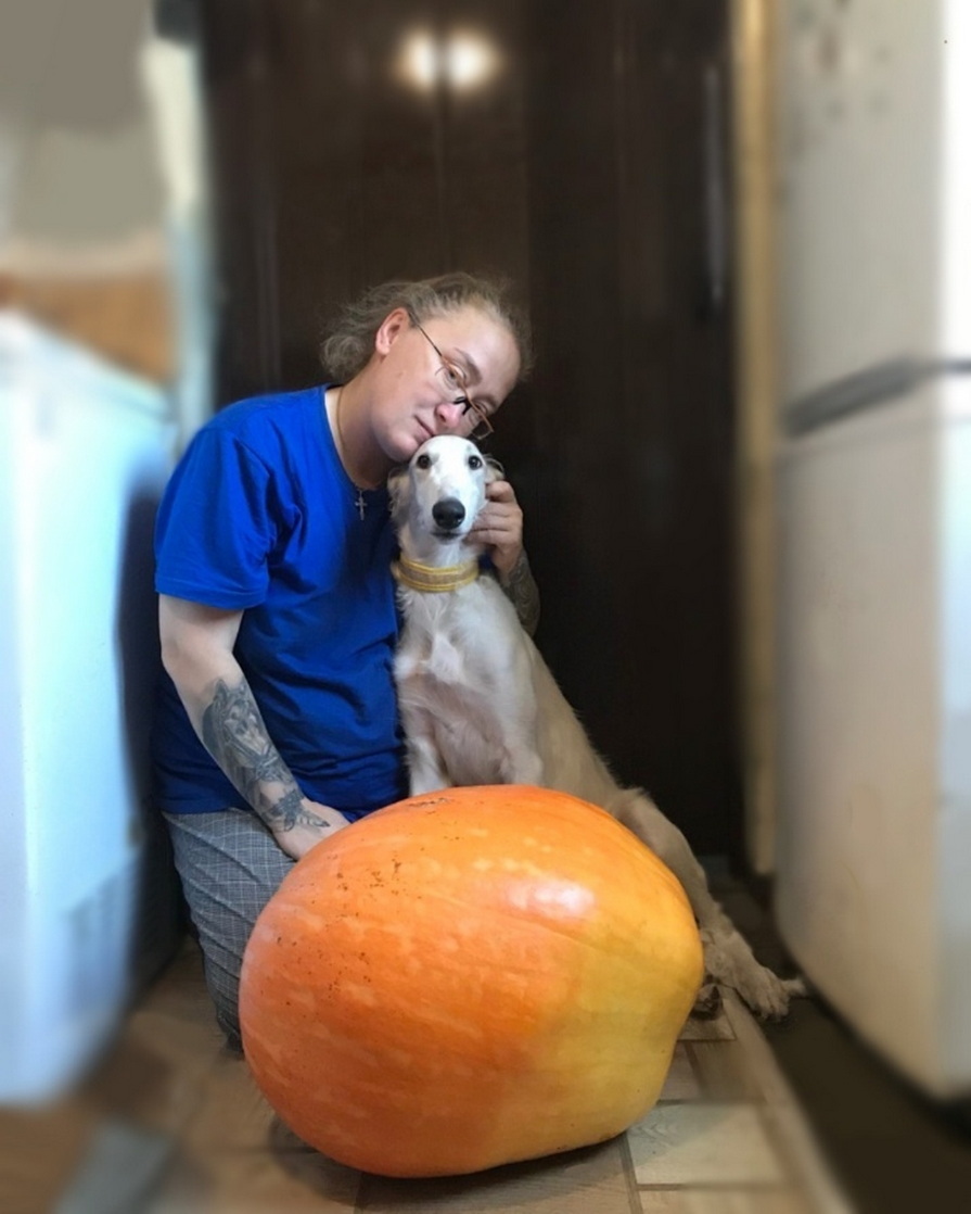 Тыква с хозяйкой