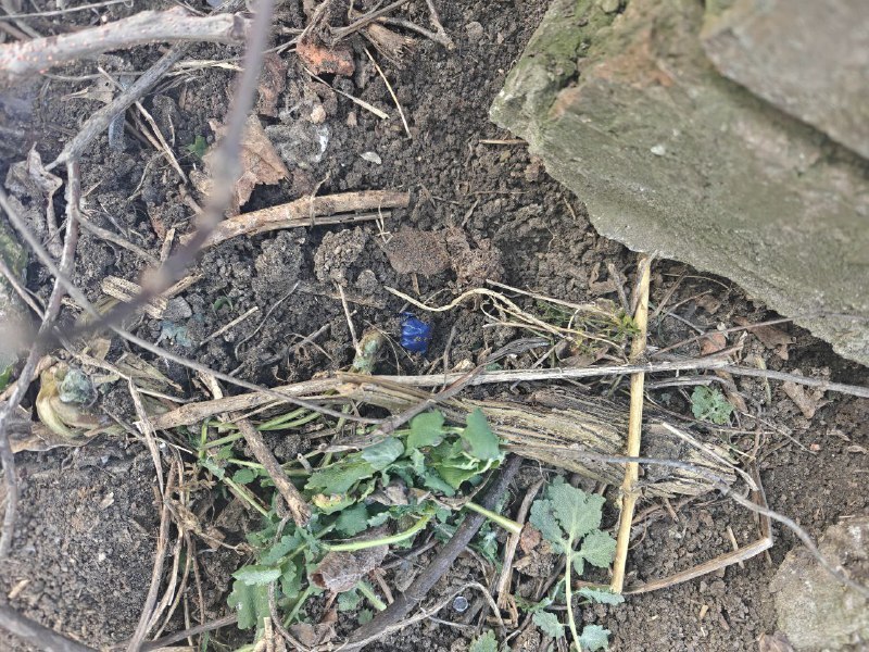 Стражи правопорядка пресекли попытку незаконного сбыта наркотиков