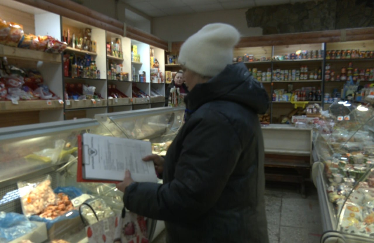 Активисты Народного контроля