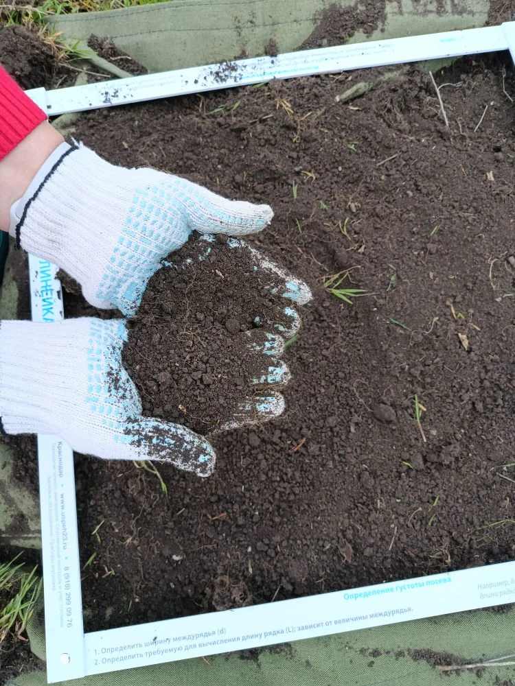 Специалисты Россельхозцентра работали в полях две недели