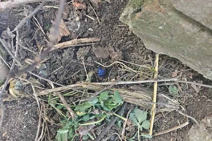 Стражи правопорядка пресекли попытку незаконного сбыта наркотиков