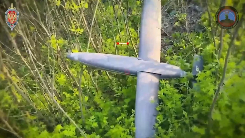 «Купол Донбасса» защищает Горловку
