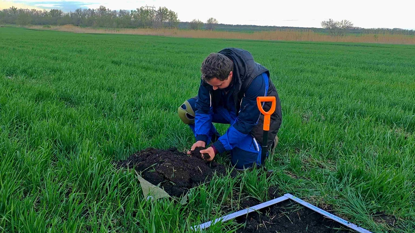 В ДНР прошли раскопки в поисках кубышек саранчовых